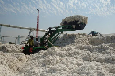 Telescopic Cotton Loaders