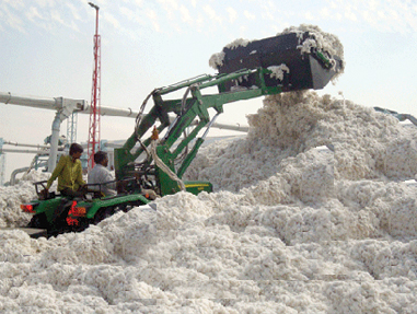 loose cotton handling